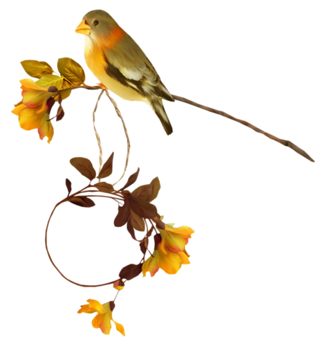 őszi állatok_120.png